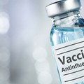 Fimmg: “La mezza verità sui vaccini antiinfluenzali”