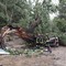 Albero cade su auto, un morto e tre feriti