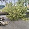 Interventi dei vigili del fuoco per maltempo