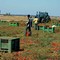Basilicata: operazione contro caporalato e sfruttamento di braccianti