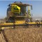 Agricoltura: piano di emergenza della Regione in caso di siccità