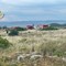 Anziano trovato morto nelle campagne di Matera