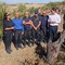 Abbattuto il mandorlo infetto da xylella