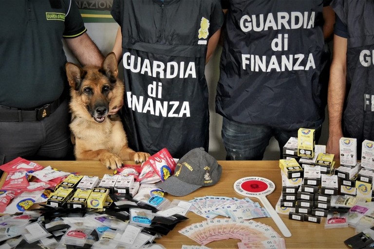 Cane antidroga delle fiamme gialle