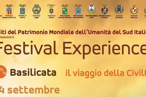 festival experience