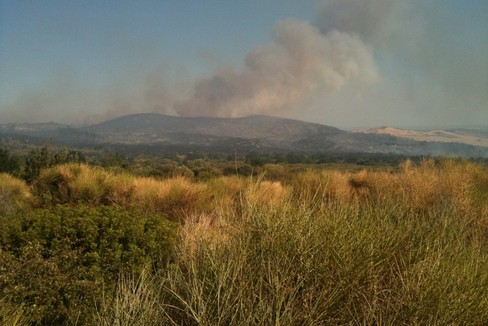 Parco della Murgia Materana- attivato servizio antincendio