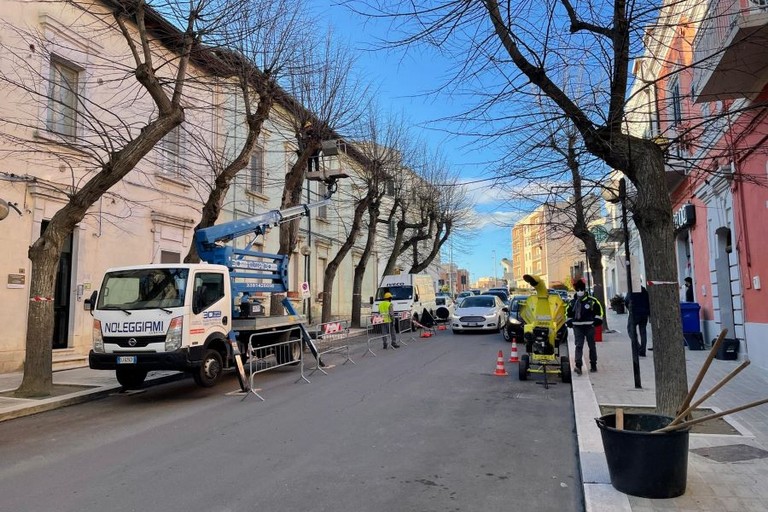 manutenzione verde pubblico matera