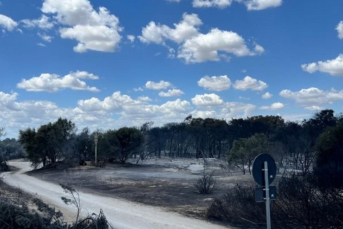 Metaponto: indagini su incendi dolosi, danni enormi