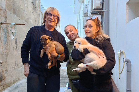 Campagna di adozioni dei cani