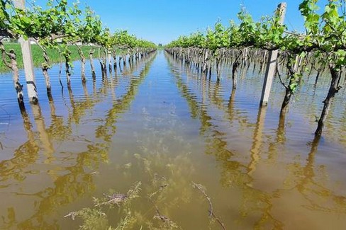 Cia Agricoltori: per i danni in agricoltura non bastano polizze