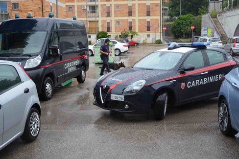Carabinieri di Matera: attività antidroga