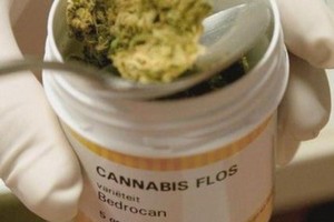 Farmaci cannabinoidi