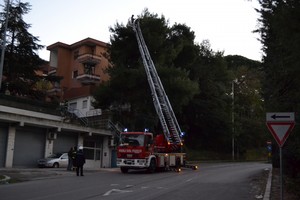 Rimozione rami pericolosi in via Annibale M. di Francia