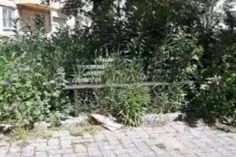 Sfalcio dell'erba, approvato un piano urgente