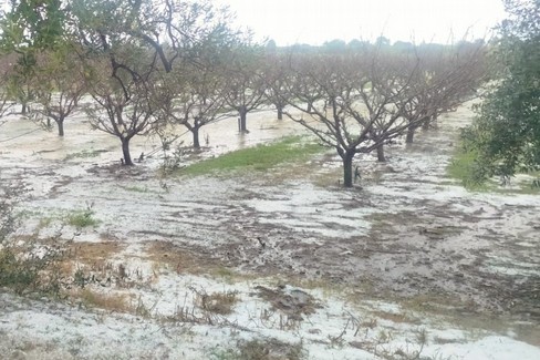 Grandinate in provincia di Matera, danni in agricoltura