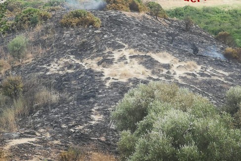 In Basilicata aumentati gli incendi, Matera provincia più colpita