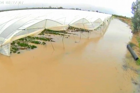 Piogge abbondanti nel Metapontino, allagate le serre