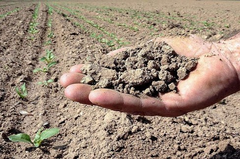 Poca acqua nelle dighe, agricoltori già preoccupati