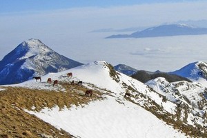 Primi fiocchi di neve sul territorio lucano