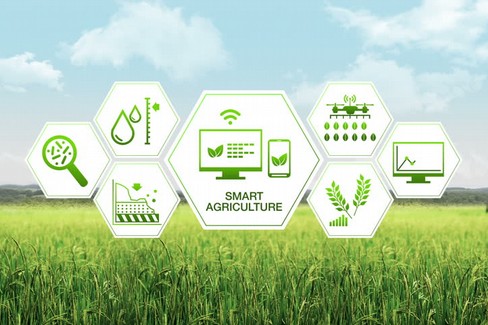smart agricolture