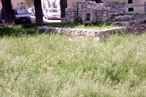 Erbacce alte